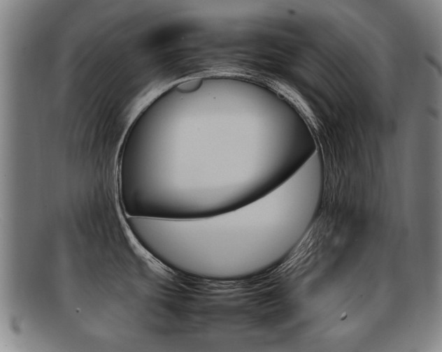 X0000092061439200709120957