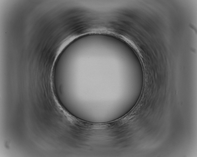 X0000092061440200709120957
