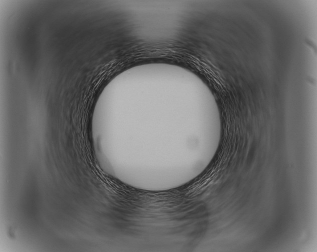 X0000092061441200709120956