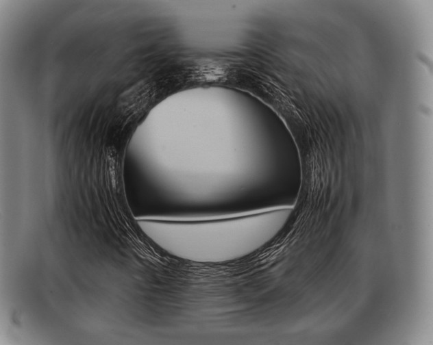 X0000092061442200709120956