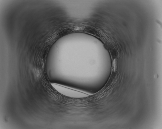 X0000092061443200709120956