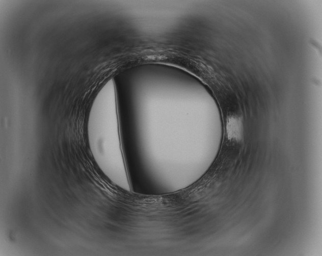 X0000092061444200709120956