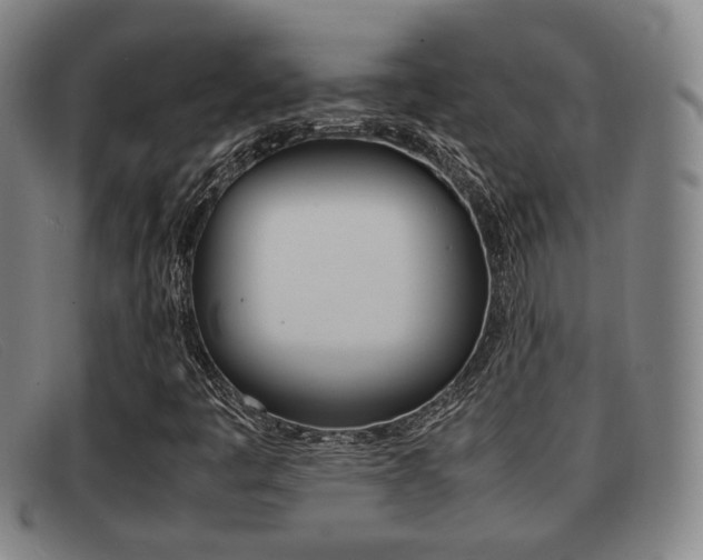 X0000092061445200709120956