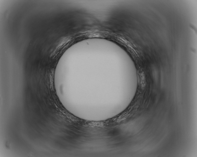 X0000092061446200709120956