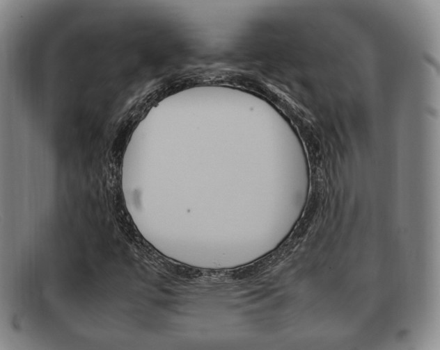 X0000092061447200709120956