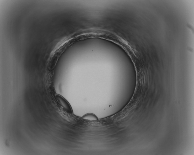 X0000092061448200709120956