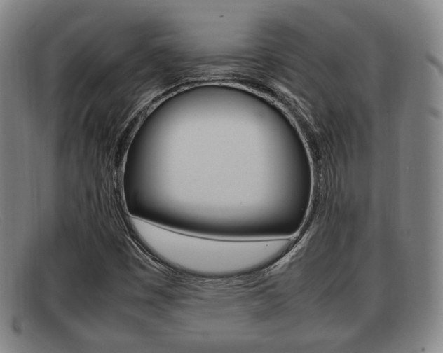 X0000092061449200709120956