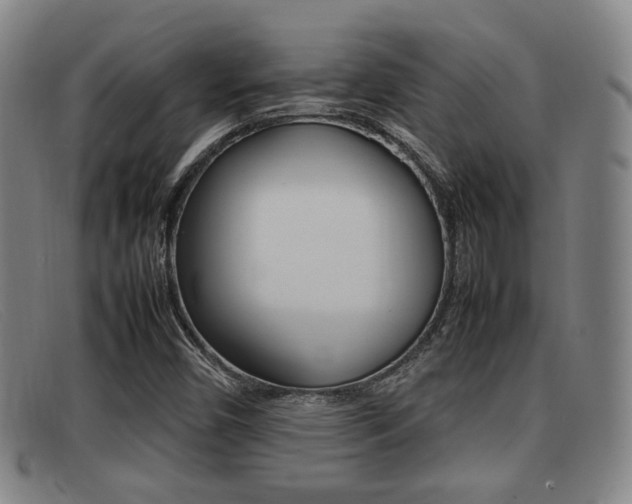 X0000092061450200709120956
