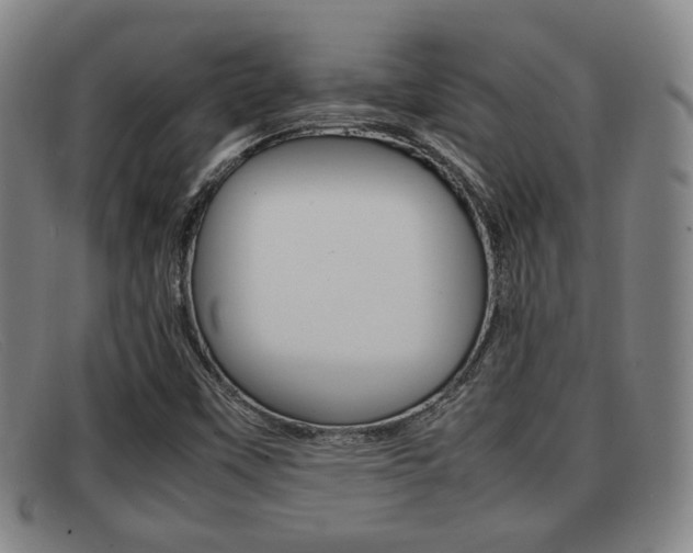 X0000092061451200709120956