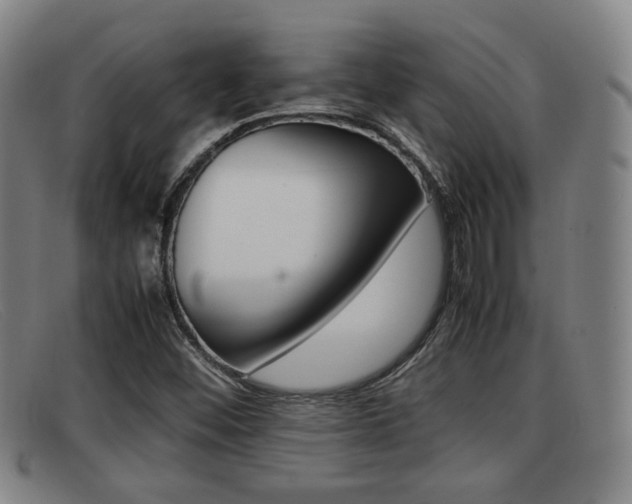 X0000092061452200709120956