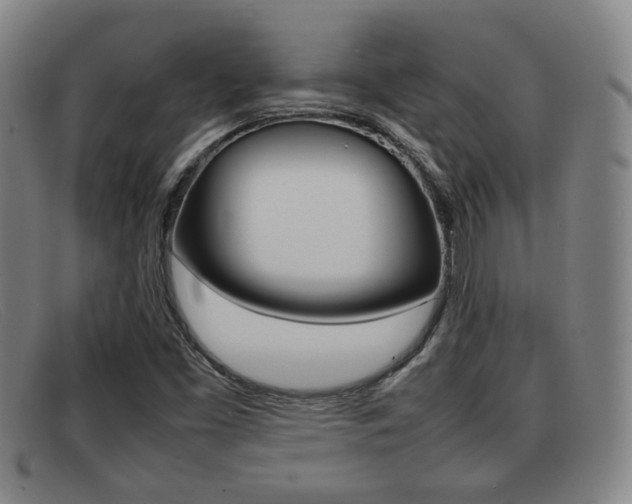 X0000092061453200709120956