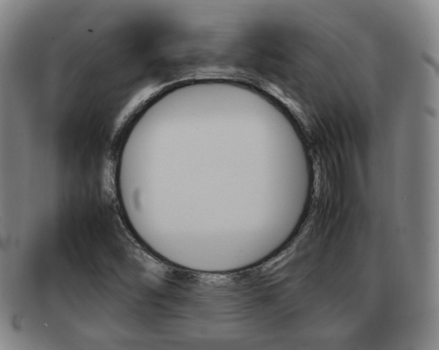 X0000092061454200709120956