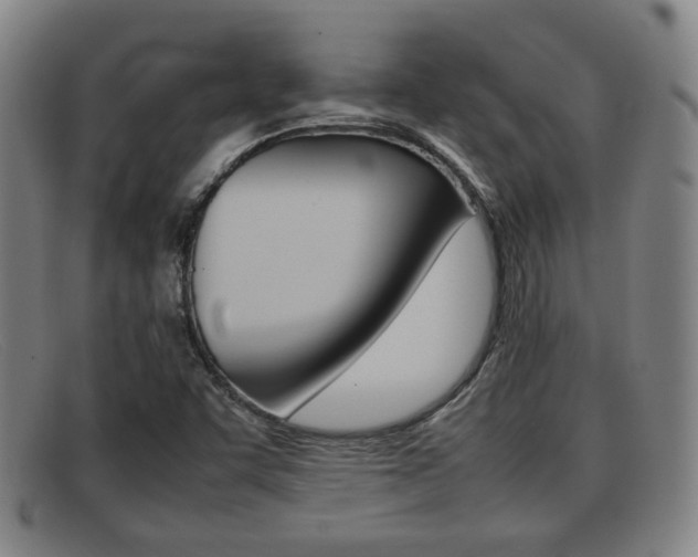 X0000092061455200709120956