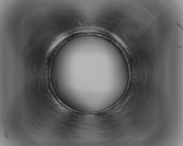 X0000092061456200709120956