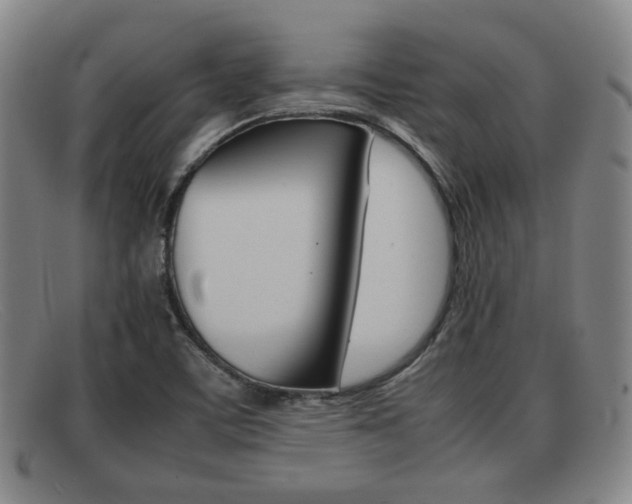 X0000092061459200709120956