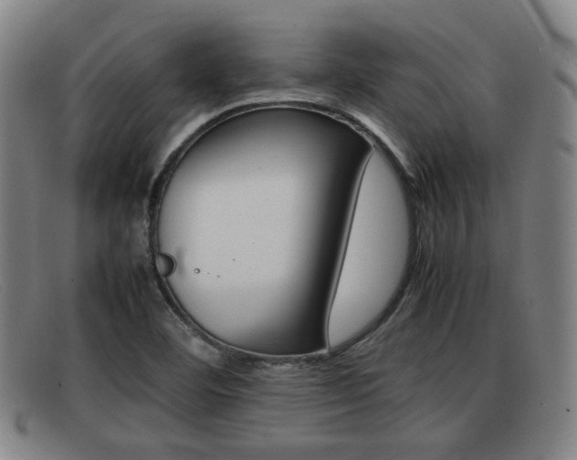X0000092061460200709120956