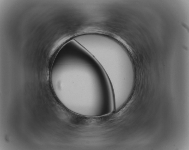 X0000092061461200709120956