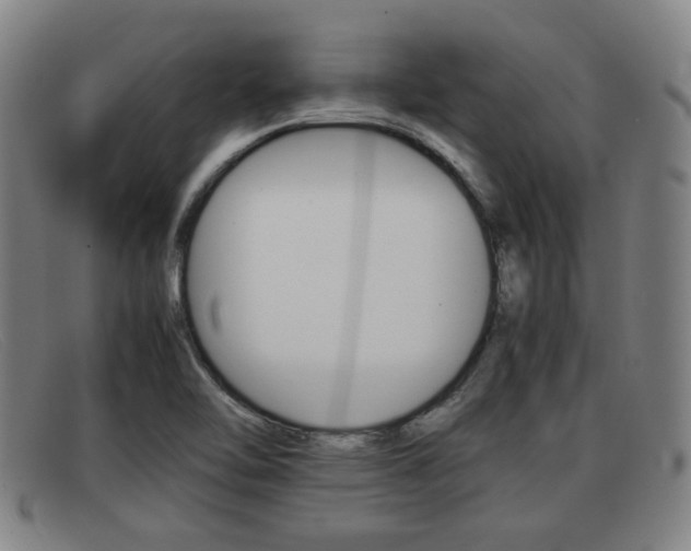 X0000092061462200709120956
