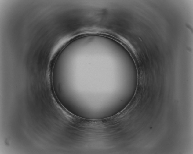 X0000092061464200709120956