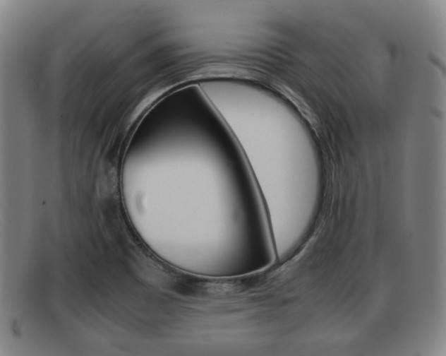 X0000092061465200709120956
