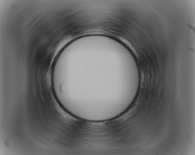 X0000092061466200709120956