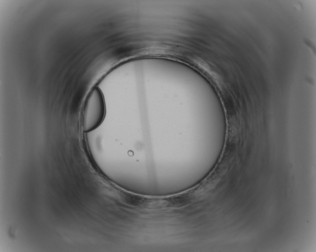 X0000092061467200709120956