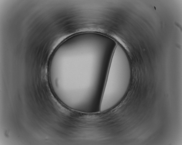 X0000092061468200709120956
