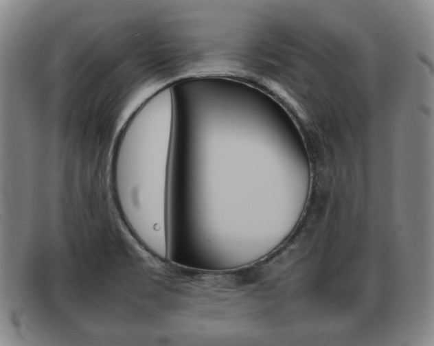 X0000092061469200709120956