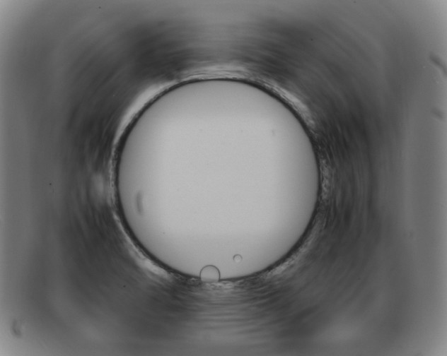 X0000092061470200709120956