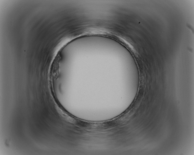 X0000092061471200709120956