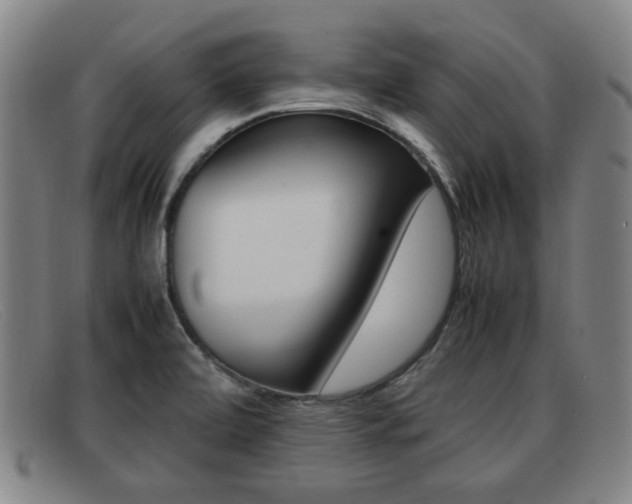 X0000092061472200709120956