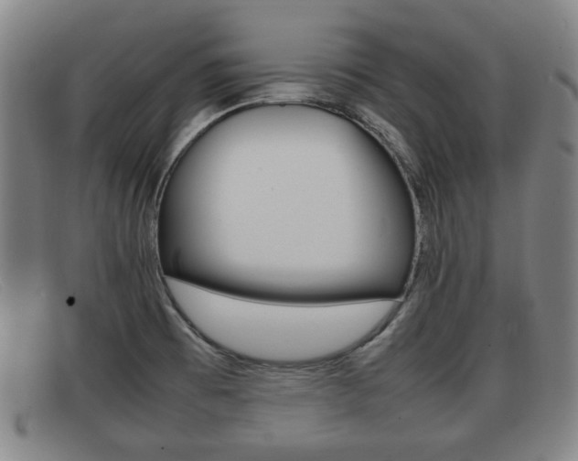 X0000092061473200709120956