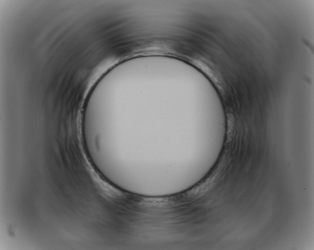 X0000092061474200709120956