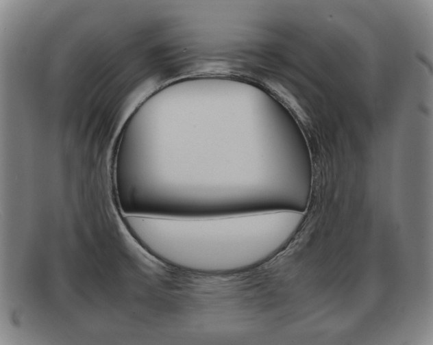 X0000092061475200709120956