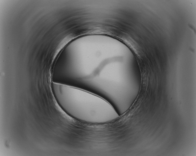 X0000092061476200709120956