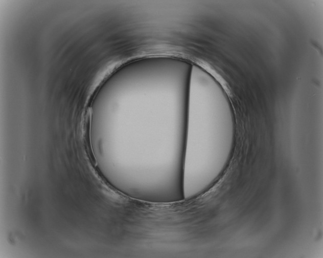 X0000092061477200709120956