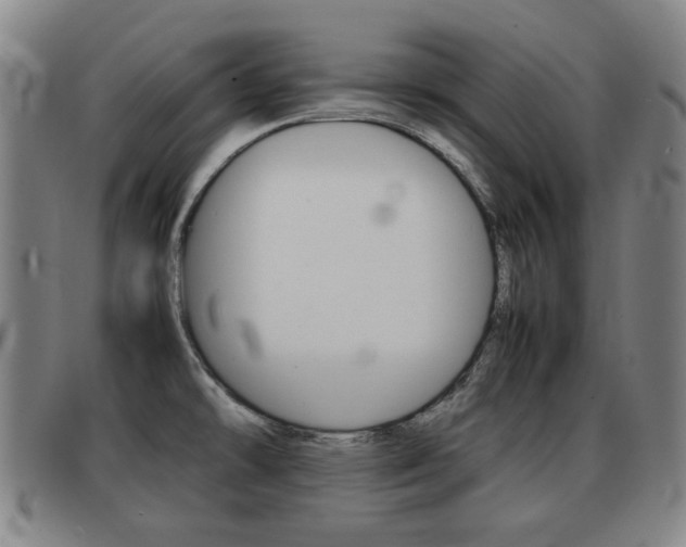 X0000092061478200709120956