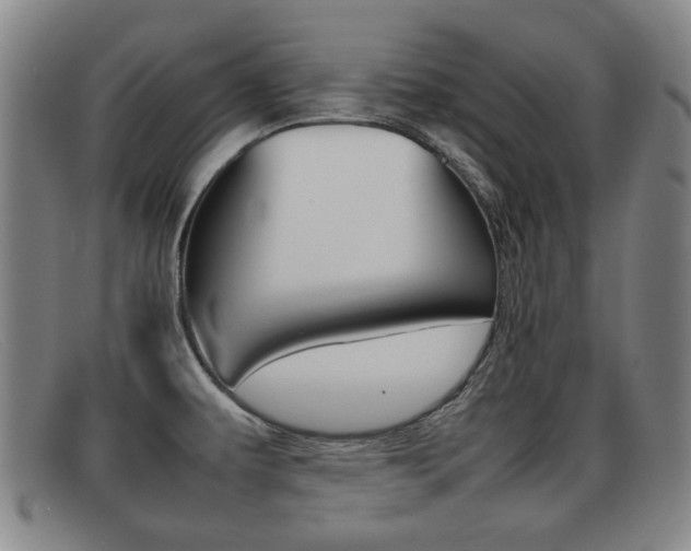 X0000092061479200709120956