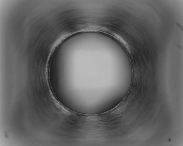 X0000092061480200709120956