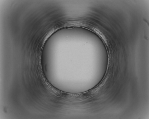 X0000092061481200709120955