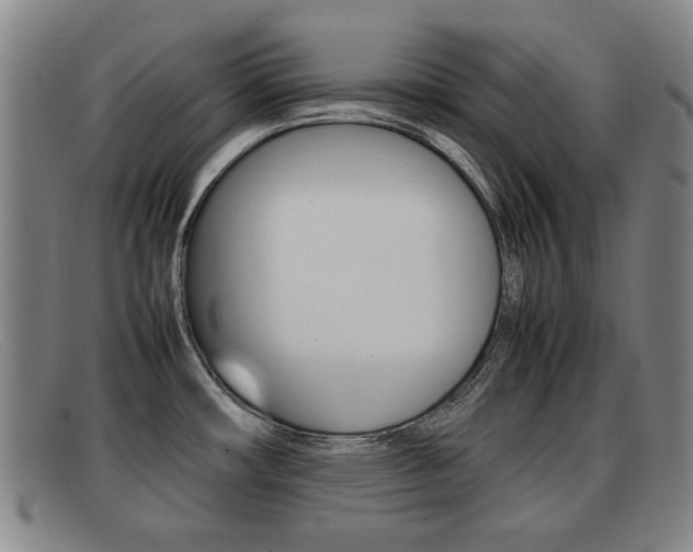X0000092061482200709120955