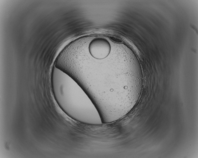 X0000092061483200709120955
