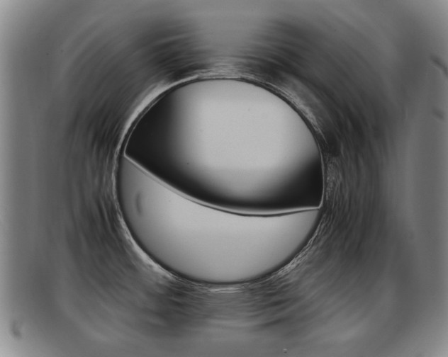 X0000092061484200709120955