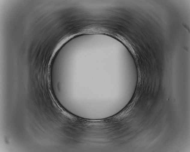 X0000092061486200709120955