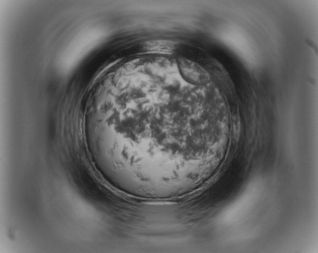 X0000092061487200709120955