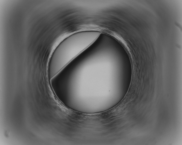 X0000092061488200709120955