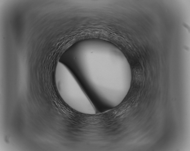 X0000092061489200709120955