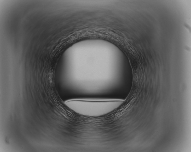 X0000092061490200709120955