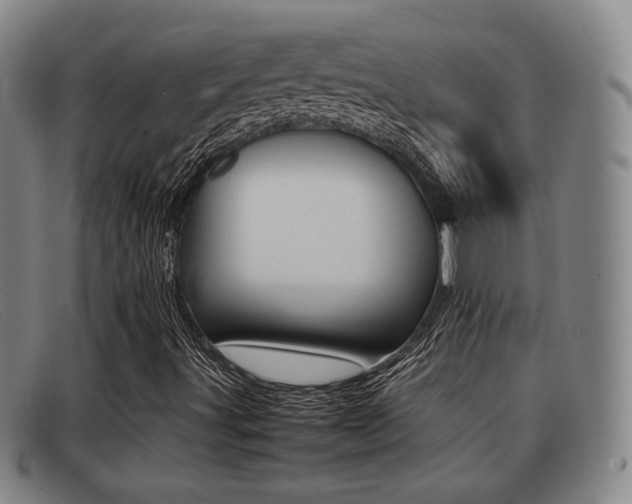 X0000092061491200709120955
