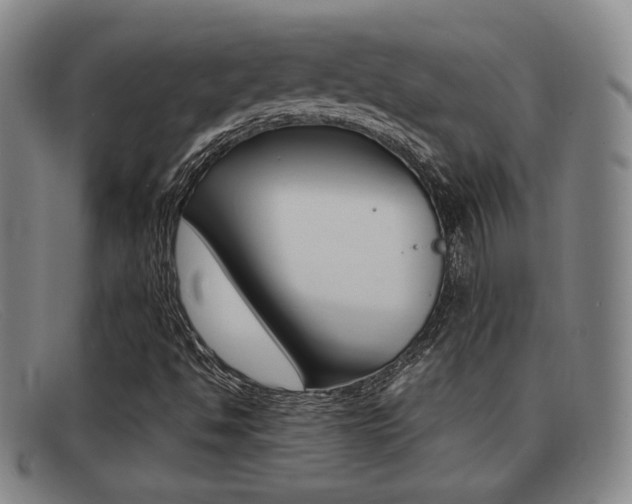 X0000092061494200709120955